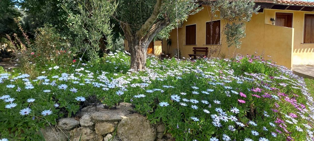 Agriturismo Bachile Bertula Villa Riola Sardo Luaran gambar