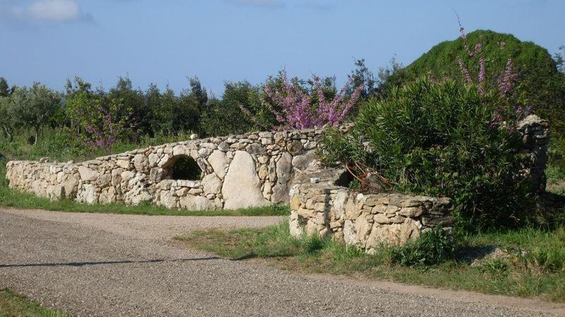 Agriturismo Bachile Bertula Villa Riola Sardo Luaran gambar